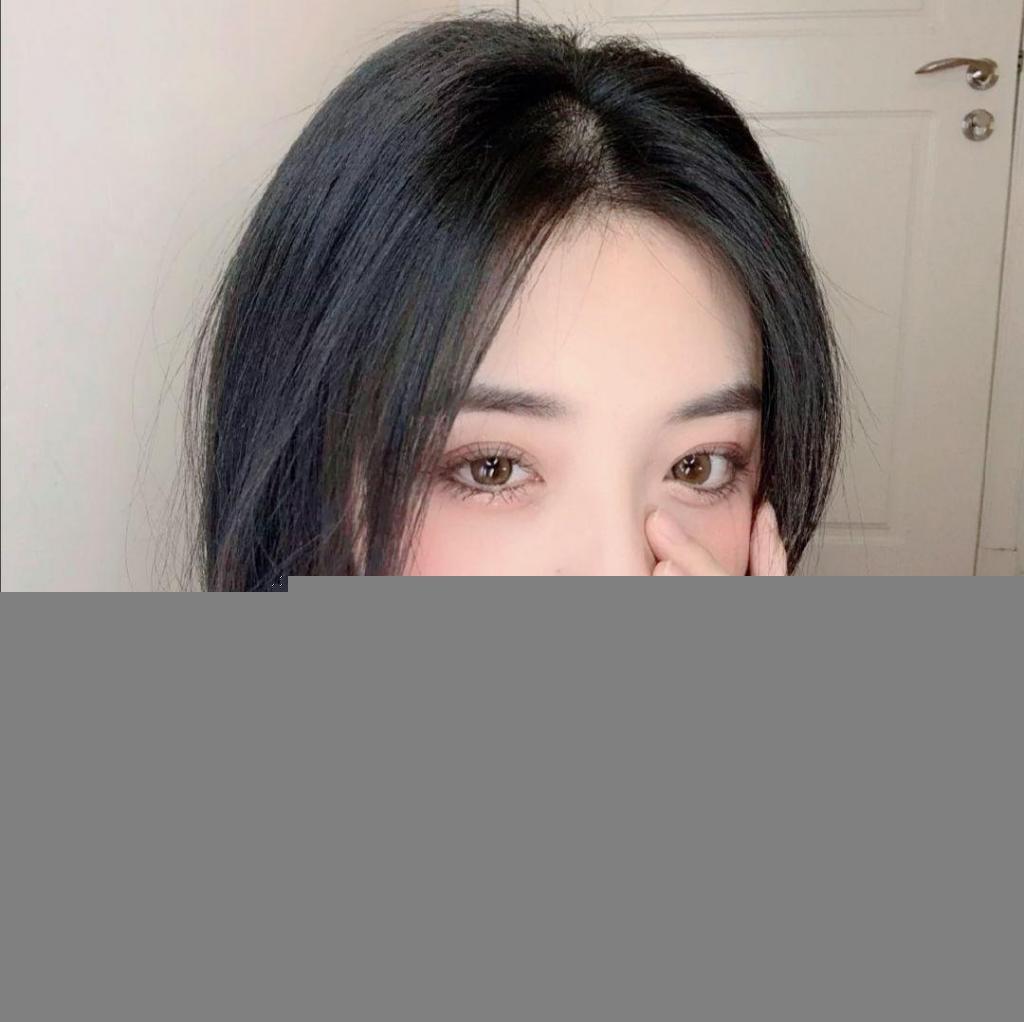 动物欢乐多破解版下载