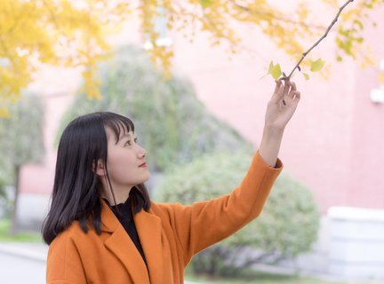 模拟飞行10手机版中文