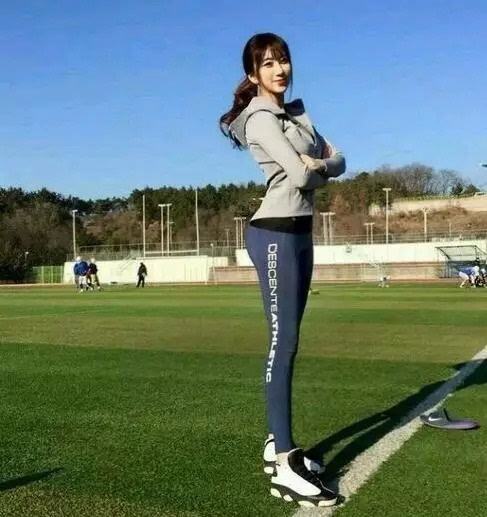 一键下载 | 《移动式工程及农林...