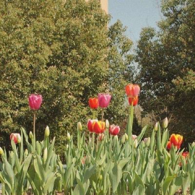 市场消息:韩国呼吁出口商配合稳定汇率。