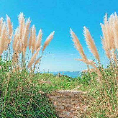 如何判断自己的心脏状态好不好