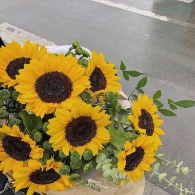 史上最严重石油危机来得恰逢其时,利好中国电动汽车巨头