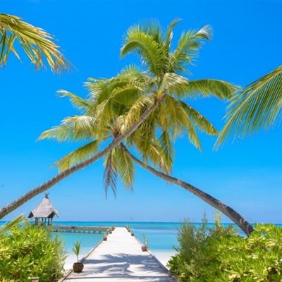 帕兰提尔获分析师看好国防项目支持,股价上涨