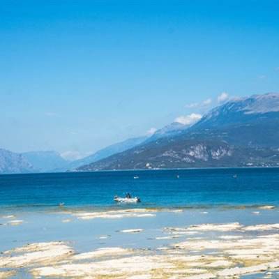 特朗普：伊朗最好尽快认真起来 否则将没有回头路且局面“不会好看”