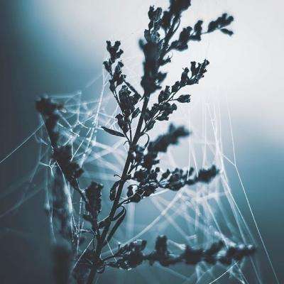 在 Super Micro 案件之后,《芯片安全法案》在众议院获得通过。