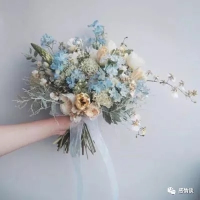 乐鱼体育app官网入口截图