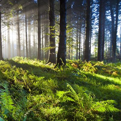 kai云体育app官网版下载