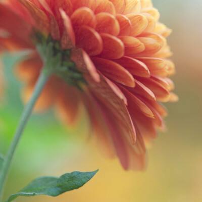 718娱乐718传送门官网截图