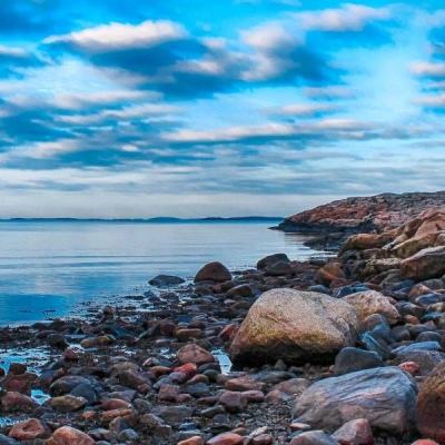 乐鱼leyu体育官网入口