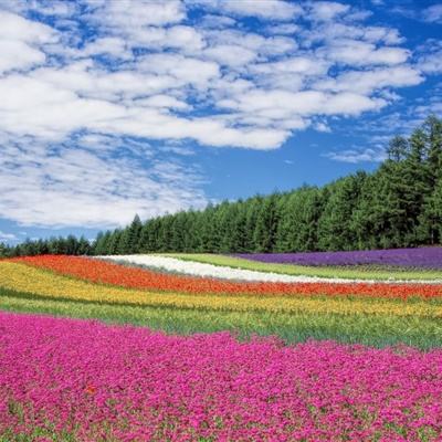 银河国际galaxy下载