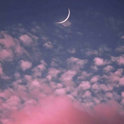 花27万拍下网红摊位老板喉咙喊哑了