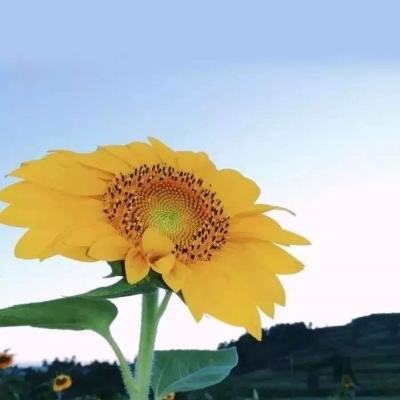 宁德时代与三明交运集团签约 推动公交车100%电动化