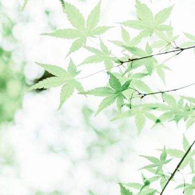 98彩票娱乐下载app/手机app下载