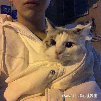 leyu乐鱼体育登录截图3