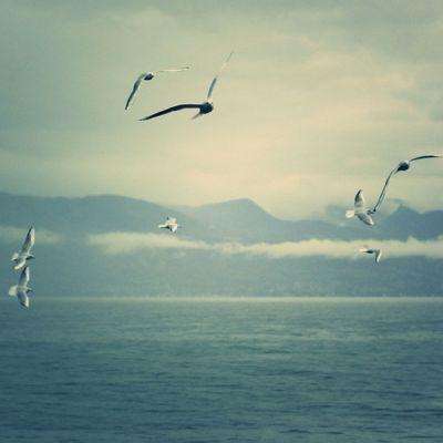 汽车报喜手机报忧，雷军要砸600亿搞AI