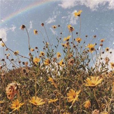 2026 CAIMRS 创新引领，跨越山海...