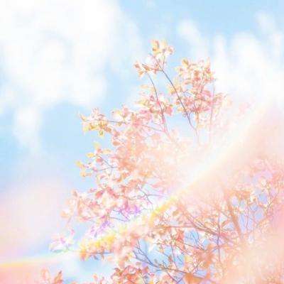 明星收入究竟有多高,明星应当如何纳税?