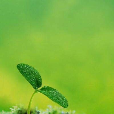 欧姆龙邀您共聚2026慕尼黑上海电...