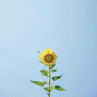 5g官网网页入口安装正版最新版v1.7.3.5截图1