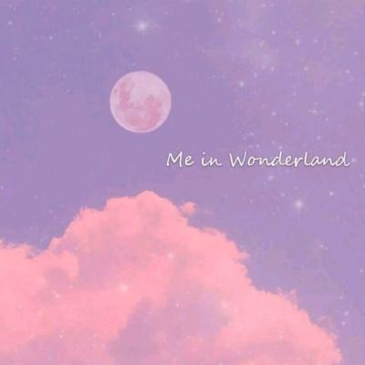 美方禁止进口外国制造的路由器被解读为针对中国,外交部回应