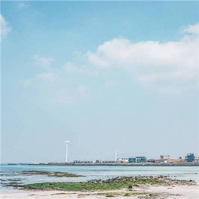 喵星大作战最新版