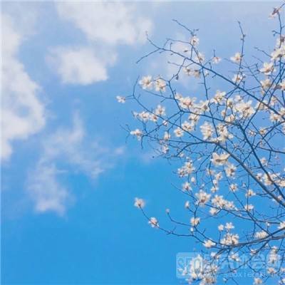 乐鱼体育平台官网入口截图4