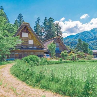 科创创业人工智能ETF工银(588430)跌2.65%,成交额1618.74万元