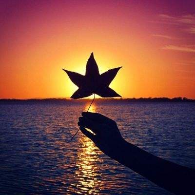 500质量成长ETF鹏扬(560500)涨2.75%,成交额633.00万元