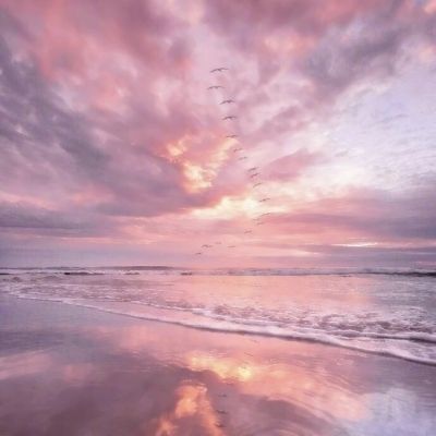 乐鱼体育官网登录入口