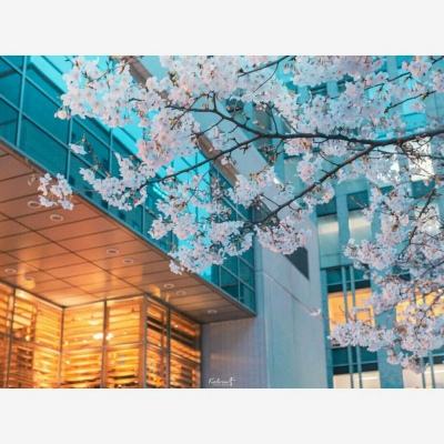 昆仑海岸分散设备控制系统 携手...