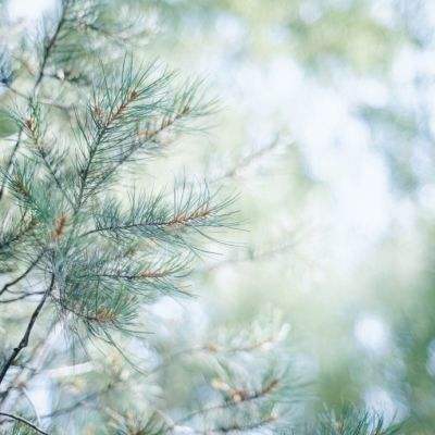 警方推进涉企网络谣言打击整治