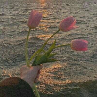 亚冠-塔神建功赵明剑神仙球 鲁能3-0武里南2连胜