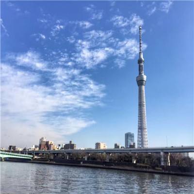 【应用案例】极耳撕裂&翻折外观...