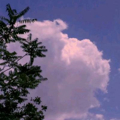 兴旺体育娱乐APP/手机APP下载