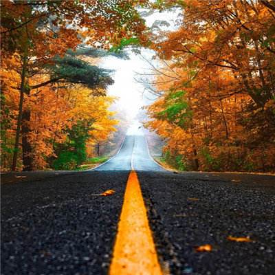 云顶贵宾会娱乐app手机版