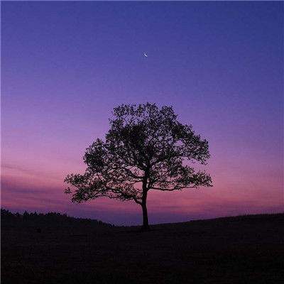 林诗栋退出2026澳门世界杯