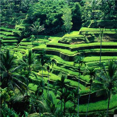 每升少涨0.85元左右！油价在国外大涨，为何在国内却被 “按住”？未来走势又如何？带你一文读懂