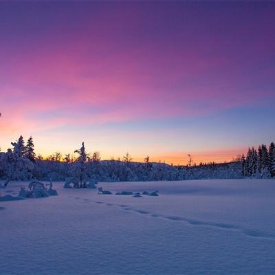 机器人造机器人!新华社走进海康...