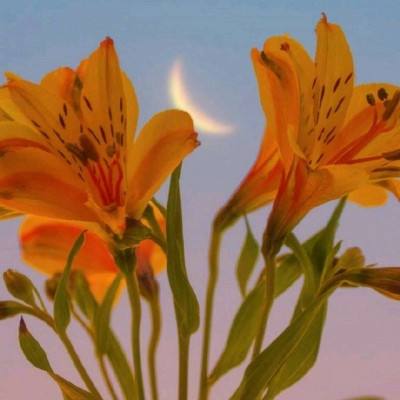 力控科技携手海光信息，共建“算...