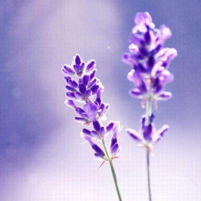 AI人工智能ETF平安(512930)跌2.41%,成交额9053.91万元