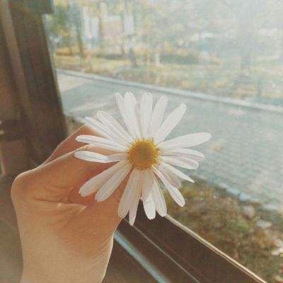 红利质量ETF南方(515460)跌0.85%,成交额1499.58万元