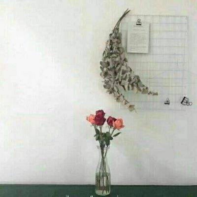 乐发彩票登录首页大厅
