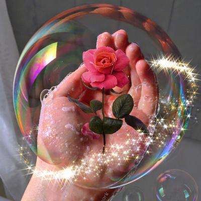 萝莉塔防破解版