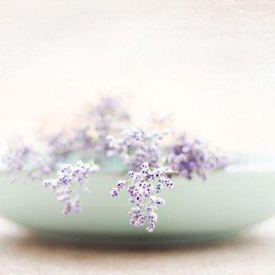 巩俐30年前旧照曝光 清纯甜美气质出众