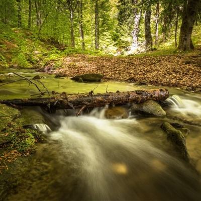 GALAXY·银河贵宾汇官方版