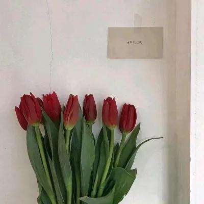 高原边防部队还在用81杠 中国步枪真的有问题吗?