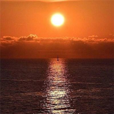 伊朗开展“真实承诺4”第82轮行动