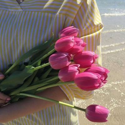 兴富娱乐（官方）综合娱乐APP下载相关推荐1