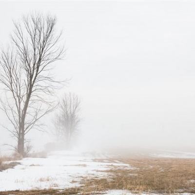 东赢体育娱乐APP/手机APP下载