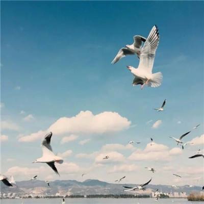 大宗商品综述：油价大跌 铜价上涨 金价收窄跌幅